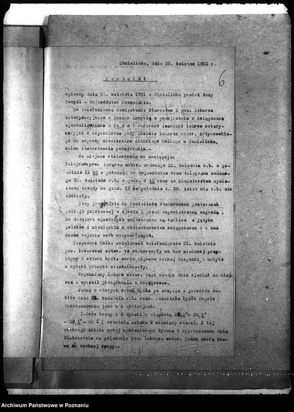 Obraz 10 z jednostki "Księgosusz - Nowy Tomyśl"