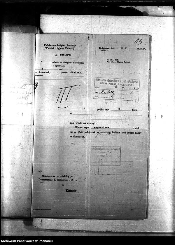 Obraz 17 z jednostki "Nosacizna - Chełmno"