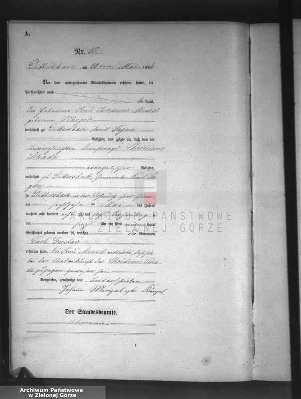 Obraz 13 z jednostki "[Księga aktów urodzeń]"