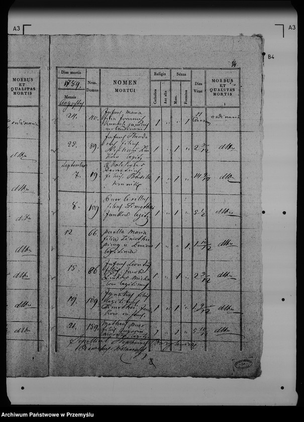 Obraz 19 z jednostki "[Kopie ksiąg metrykalnych parafii Wólka Mazowiecka (dekanat Rawa Ruska)]"