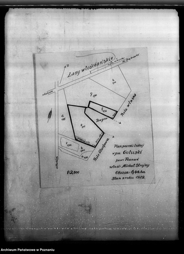Obraz 10 z jednostki "Program urządzenia gospodarstwa leśnego dla lasu Michała Strojnego w gminie Gołuski powiat poznański 1929-1939"