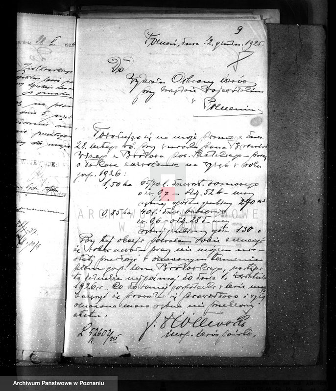 Obraz 13 z jednostki "Majętność leśna Brodowo powiat średzki"