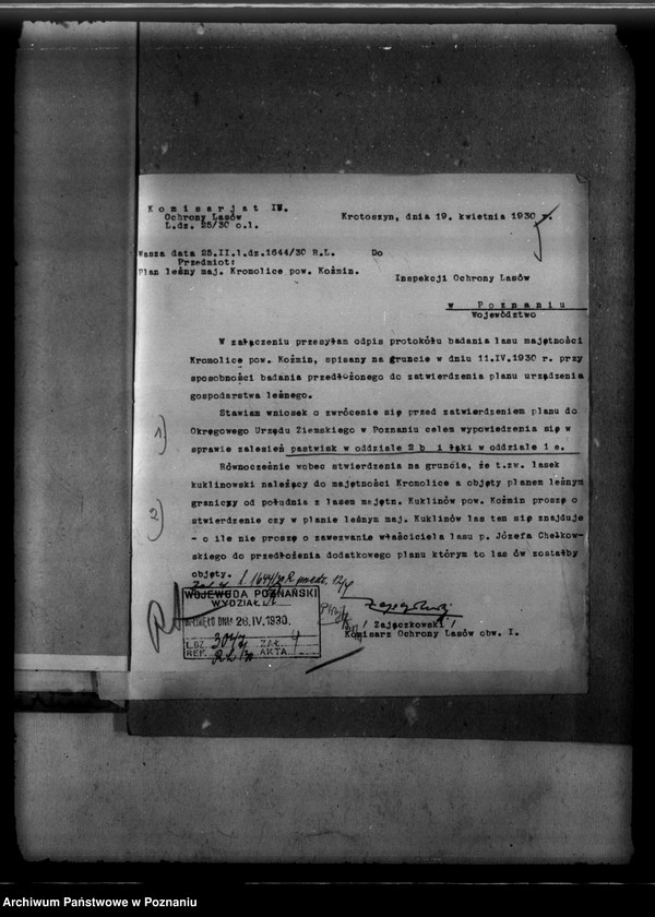 image.from.unit.number "Majętność leśna Kromolice powiat krotoszyński"