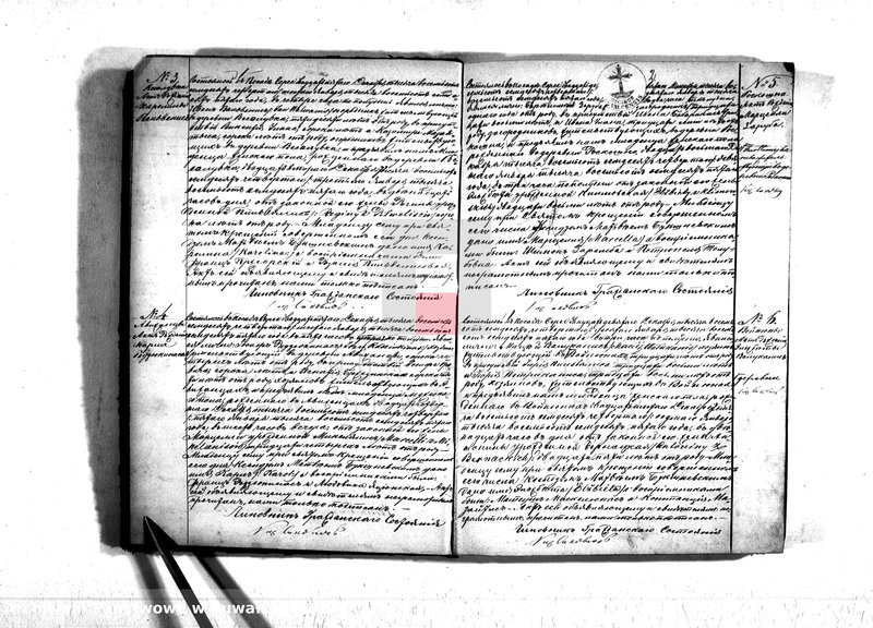 Obraz 4 z jednostki "Duplikat serejskago prichoda na 1875 god"