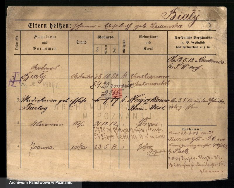 Obraz 7 z jednostki "Biały - Biedowicz"