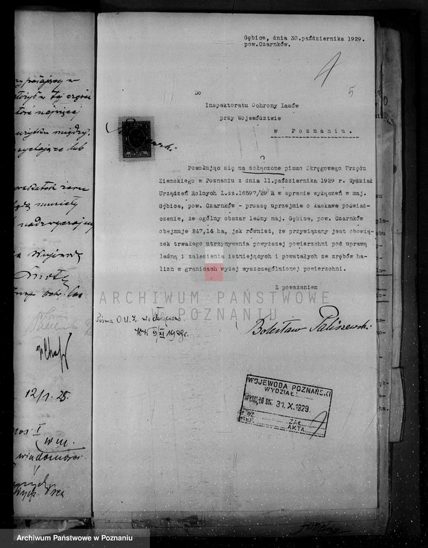 Obraz 9 z jednostki "/Nadzór nad lasami/ majętności Gębice powiatu czarnkowskiego"