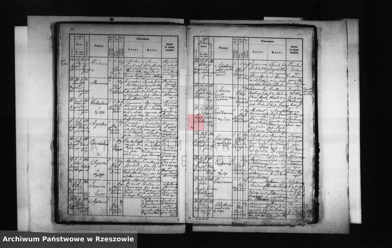 image.from.unit.number "Księga urodzeń - Kąkolówka"