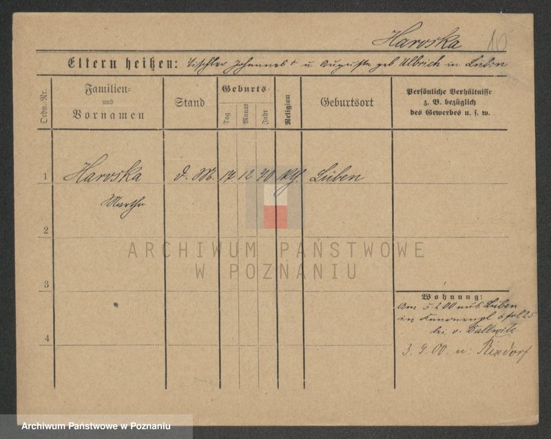 Obraz 10 z jednostki "Harnpert - Haryza"