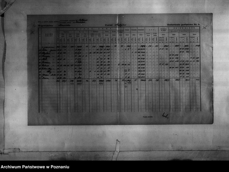 Obraz 20 z jednostki "/Statystyka produkcji rolnej - zestawienie powiatowe dotyczące zbiorów z terenu powiatu międzychodzkiego/"