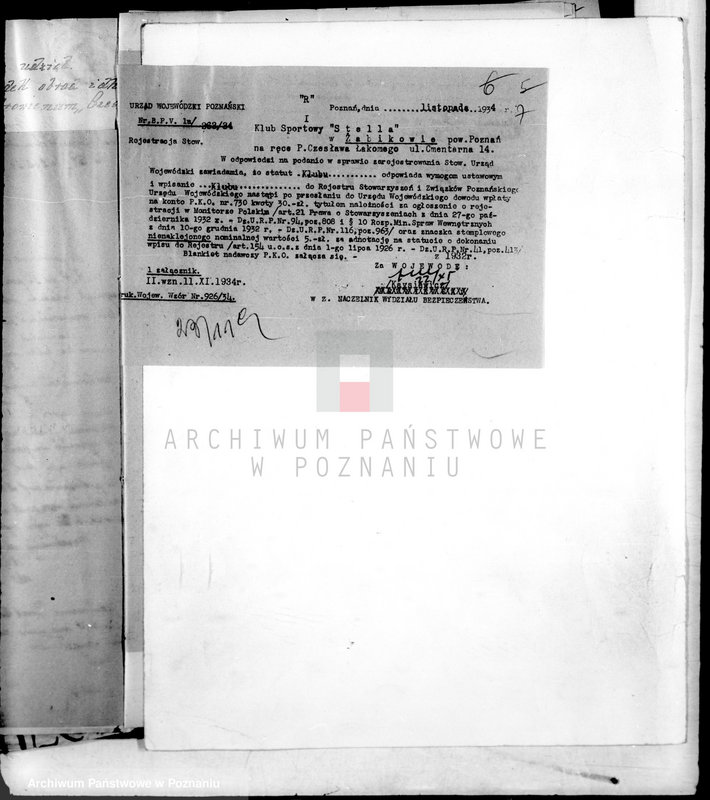 Obraz 11 z jednostki "Klub Sportowy,,Stella" w Żabikowie/"