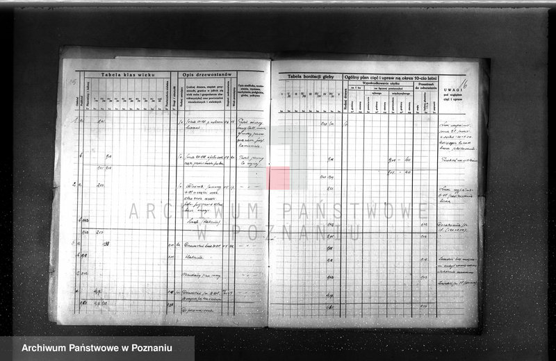 Obraz 19 z jednostki "Plan urządzenia gospodarstwa leśnego dla lasu majętności Piotrowo powiat szamotulski 1934-1944"