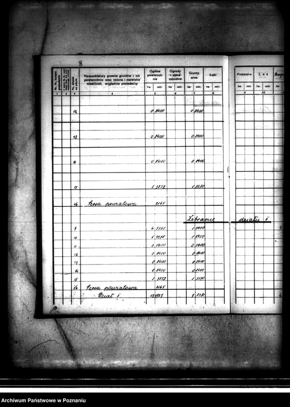 Obraz 13 z jednostki "Rejestr pomiarowy majątku Kaliska powiatu konińskiego"