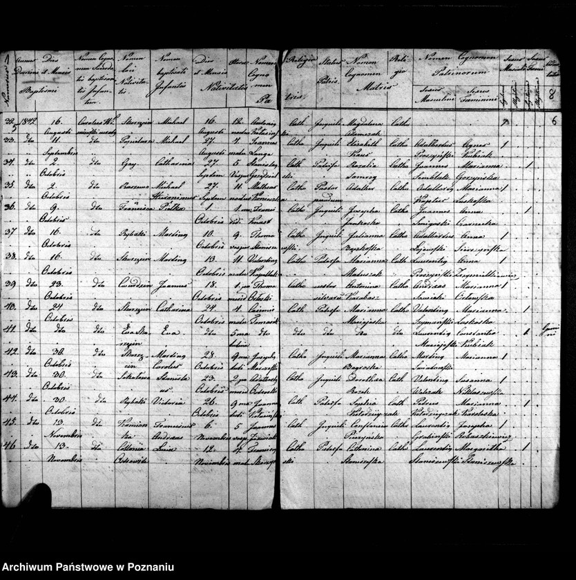 image.from.unit.number "Duplicatus baptisatorum, copulatorum, mortuorum"