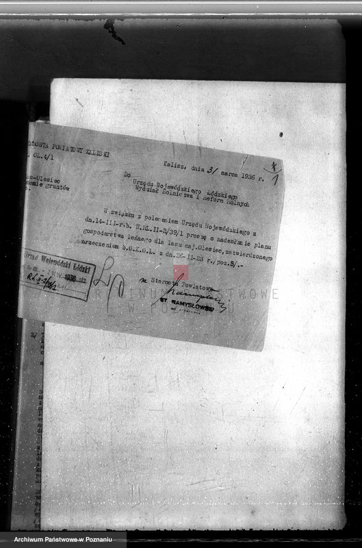 Obraz 5 z jednostki "Majętność /leśna/ Olesiec-Chocz powiat koniński"