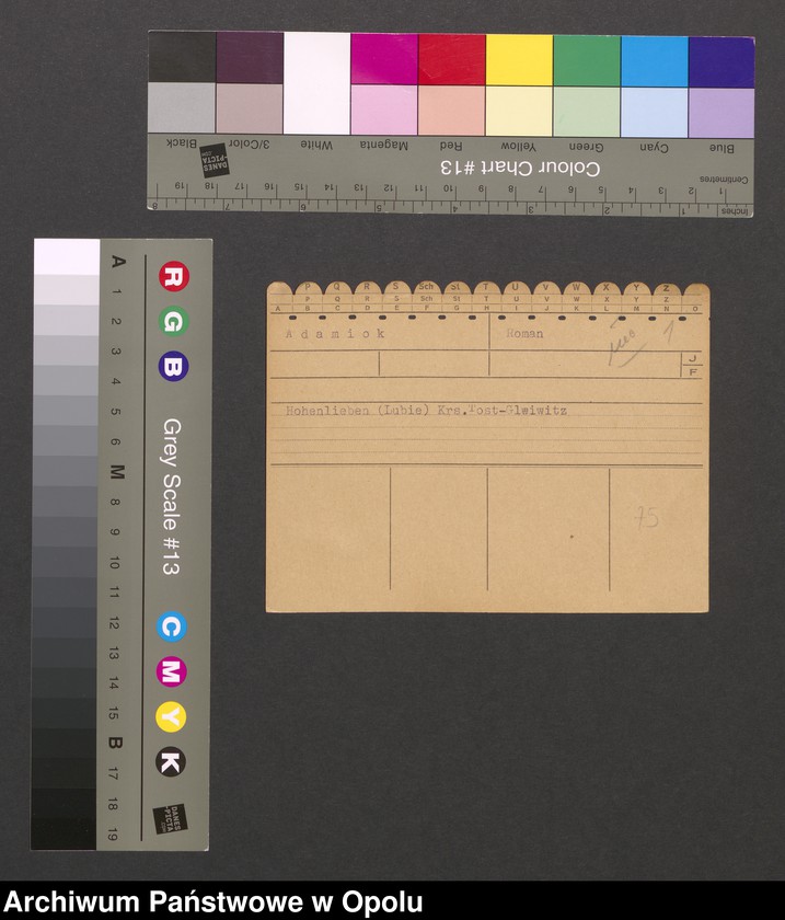 Obraz 3 z jednostki "[Adamiok Roman]"