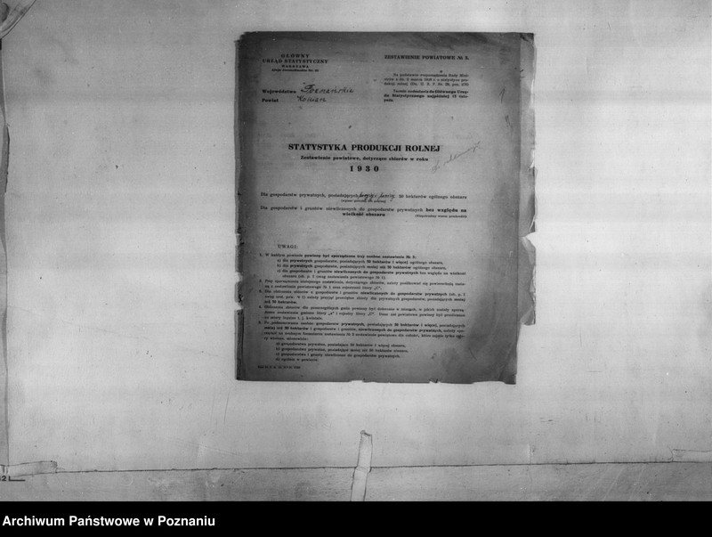 Obraz 3 z jednostki "/Statystyka produkcji rolnej - zestawienie z terenu powiatu kościańskiego"