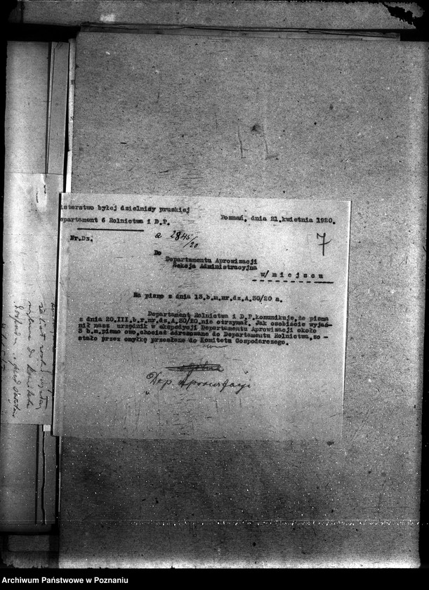 Obraz 11 z jednostki "Departament Aprowizacji"