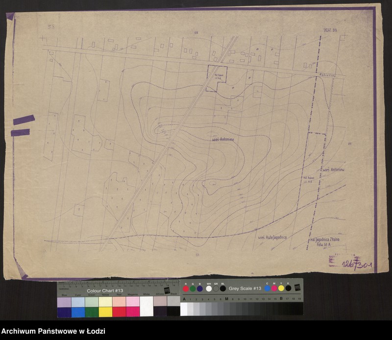 Obraz 1 z jednostki "Plan miasta Łodzi Sekcja NW 38"