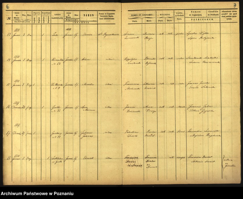 Obraz 6 z jednostki "Księga urodzin"