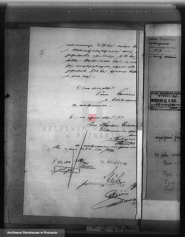 Obraz 11 z jednostki "Majętność leśna Możdzanów powiat ostrowski"