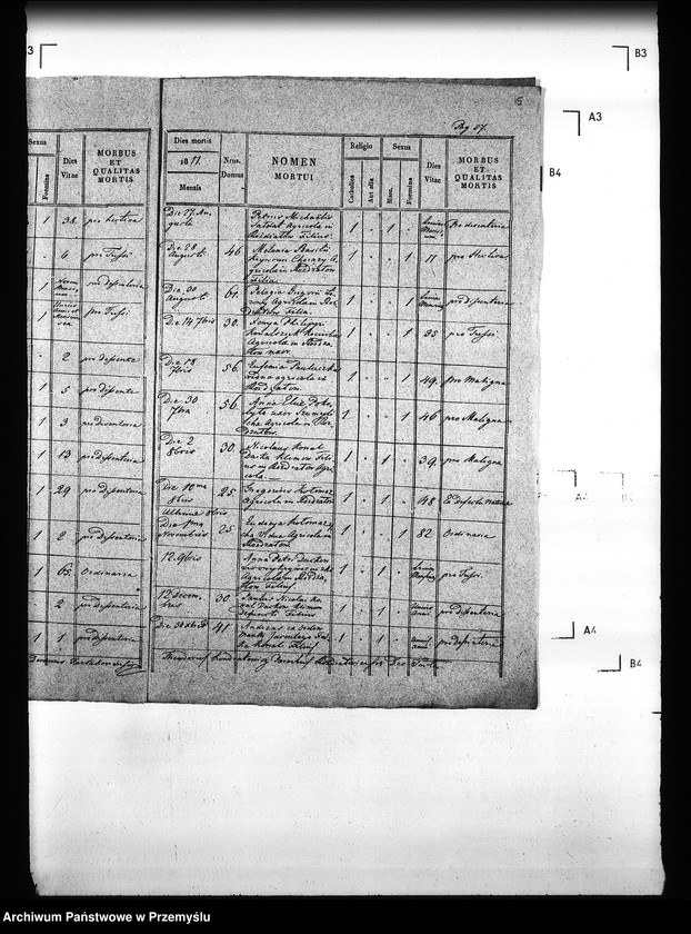 Obraz 19 z jednostki "[Kopie ksiąg metrykalnych parafii Rozdżałów z filią Korczyn (dekanat Tartaków)]"