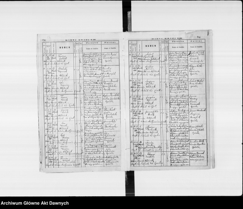 image.from.unit.number "Parafia: Janów Trembowelski. Dekanat: Trembowla. Księga metrykalna urodzeń 1888-1889, 1891, 1893-1902, ślubów 1888-1889, 1891, 1893-1898, 1900-1902 i zgonów 1888-1889, 1891, 1893-1902 dla miasta Janów i wsi: Kobyłowłoki* i Papiernia*, Słobódka i Zniesienie, Dereniówka, Dołhe, Młyniska*, Podhajczyki**, Wybranówka**."