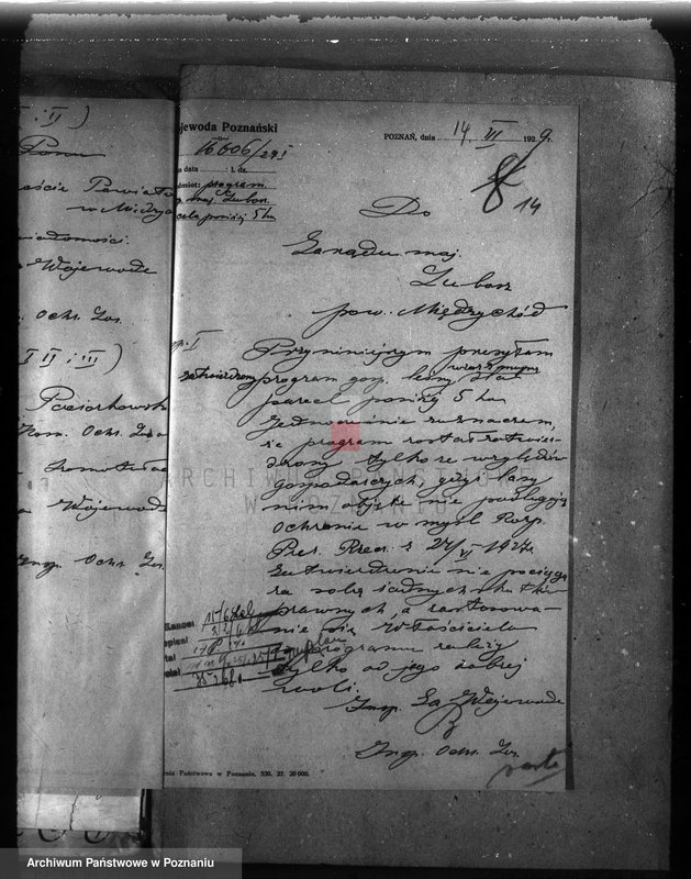 Obraz 18 z jednostki "Majętność leśna Niemierzewo w powiecie międzychodzkim"