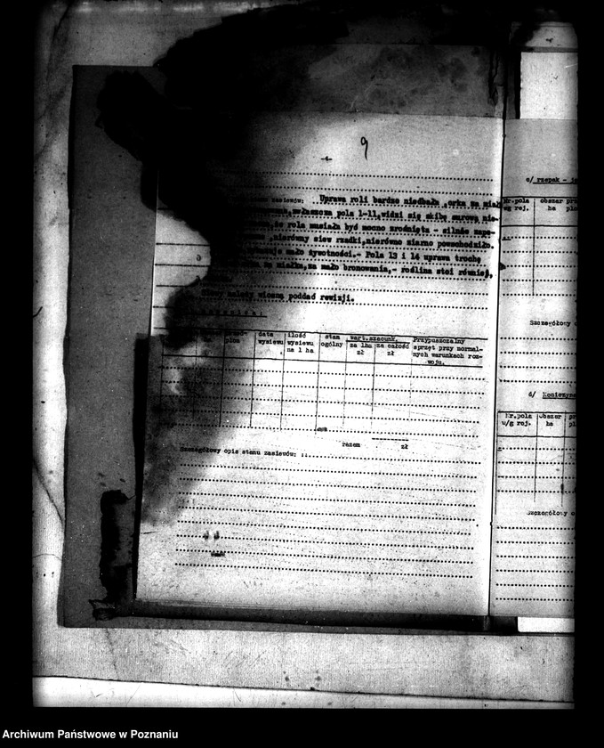 Obraz 13 z jednostki "Administracja przejściowa majątku Rataje powiatu konińskiego"