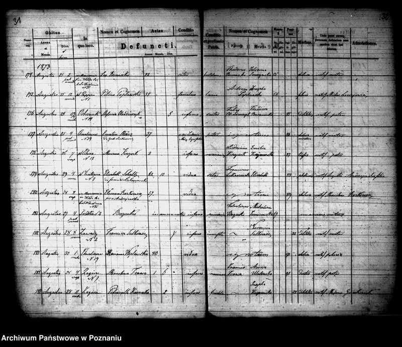 Obraz 17 z jednostki "Księga zgonów"