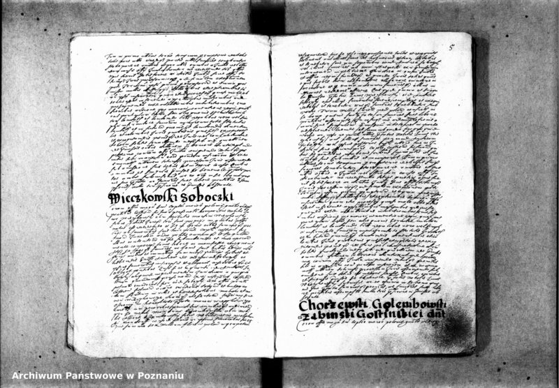 Obraz 9 z jednostki "Inscriptiones [inducta]"