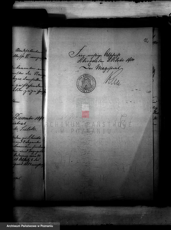 Obraz 15 z jednostki "Urzędnicy Komunalni miasta Środy"