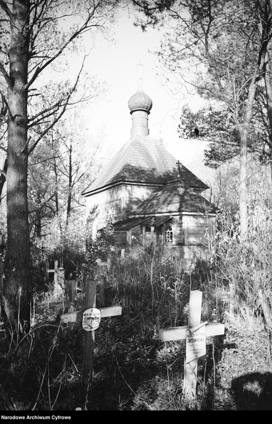 image.from.unit.number "Białowieża"
