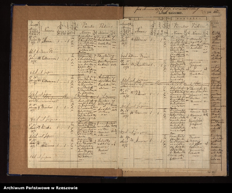 image.from.unit.number "Księga urodzeń, małżeństw, zgonów dla miejscowości Dźwiniacz Dolny"