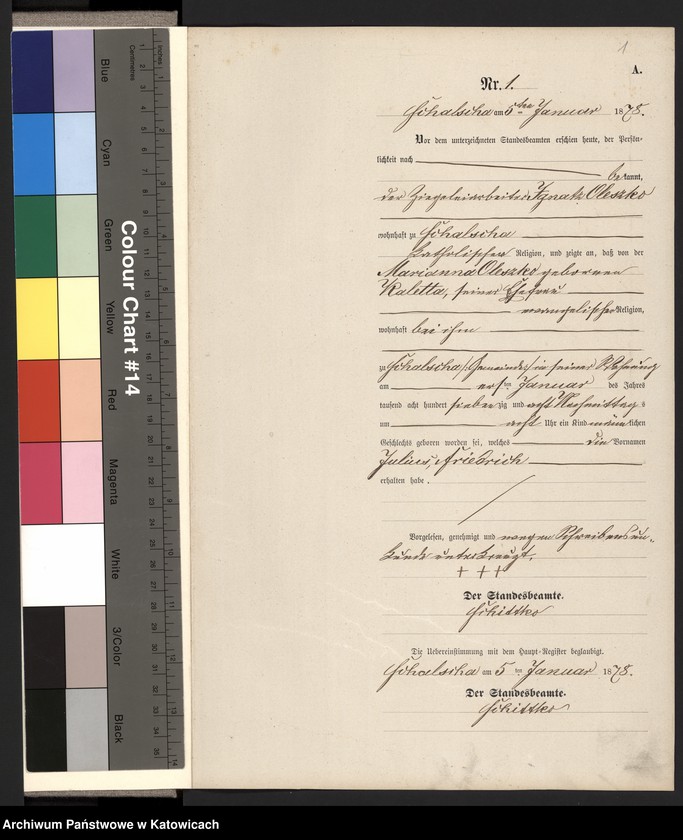 Obraz z jednostki "Księga urodzeń nr 1-86 (1878), 1-79 (1879), 1-91 (1880), 1-98 (1881)"