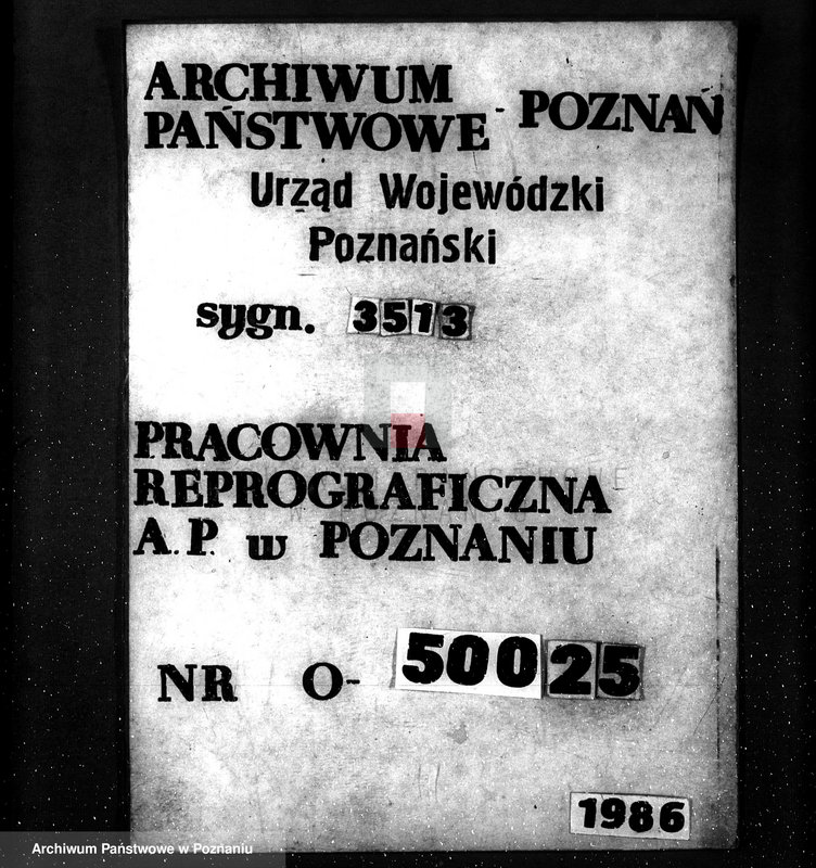 Obraz 18 z jednostki "Majętność leśna Srocko-Wielkie powiat kościański"