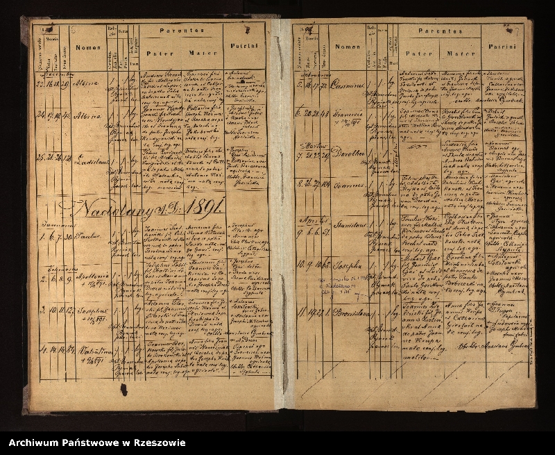 image.from.unit.number "Księga urodzeń, małżeństw i zgonów dla miejscowości Nowotaniec, Nadolany, Nagórzany, Pielnia, Wola Sękowa, Wola Jaworowa, Puławy"