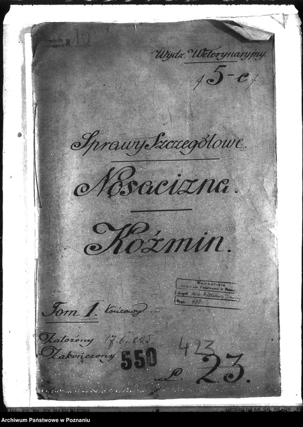 Obraz 4 z jednostki "Nosacizna - Koźmin"