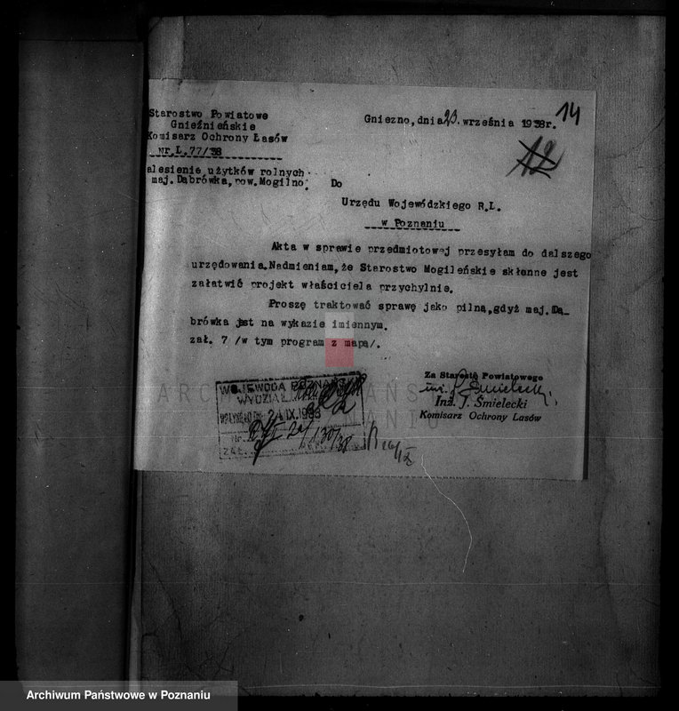 Obraz 18 z jednostki "Majętność /leśna/ Szczeglin Dąbrówka w powiecie mogileńskim"