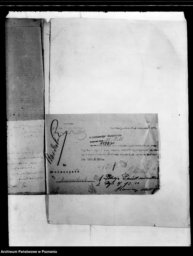 Obraz 9 z jednostki "/Zwalczanie zaraźliwych chorób/"