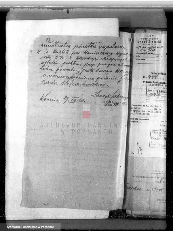 Obraz 16 z jednostki "Majątek Grabienice powiat koniński /nadzór nad gospodarką leśną/"