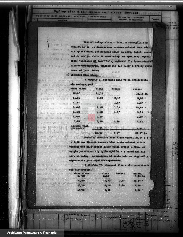 Obraz 8 z jednostki "Dodatkowy plan urządzenia gospodarstwa leśnego dla lasu majętności Grzuszyn powiat szamotulski 1937-1938"