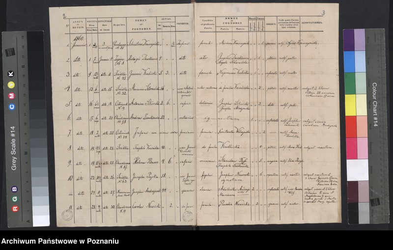 Obraz 4 z jednostki "Księga zgonów"