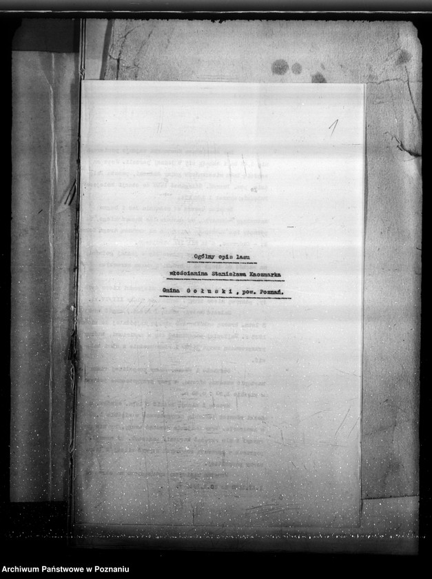 Obraz 5 z jednostki "Program urządzenia gospodarstwa leśnego lasu St. A i M Kaczmarków w gminie Gołuski powiat poznański 1930-1940"