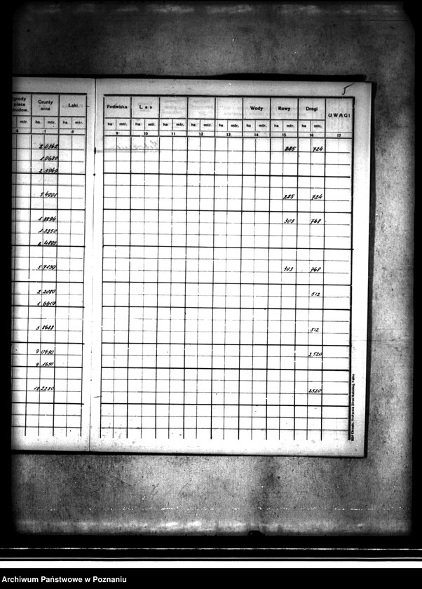 Obraz 10 z jednostki "Rejestr pomiarowy majątku Kaliska powiatu konińskiego"