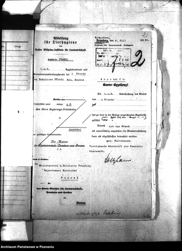 Obraz 6 z jednostki "Nosacizna - Szubin"