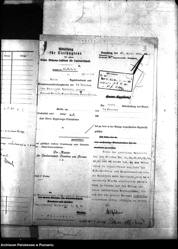 Obraz 7 z jednostki "Nosacizna - Poznań-Wschód"