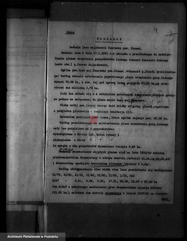 Obraz 8 z jednostki "Majętność leśna Uzarzewo powiat poznański"