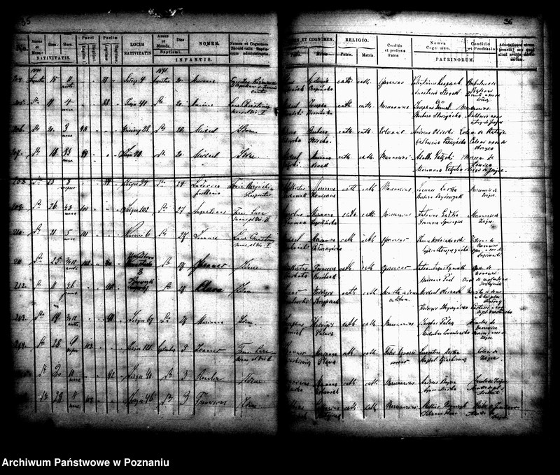 Obraz 20 z jednostki "Księga urodzin"