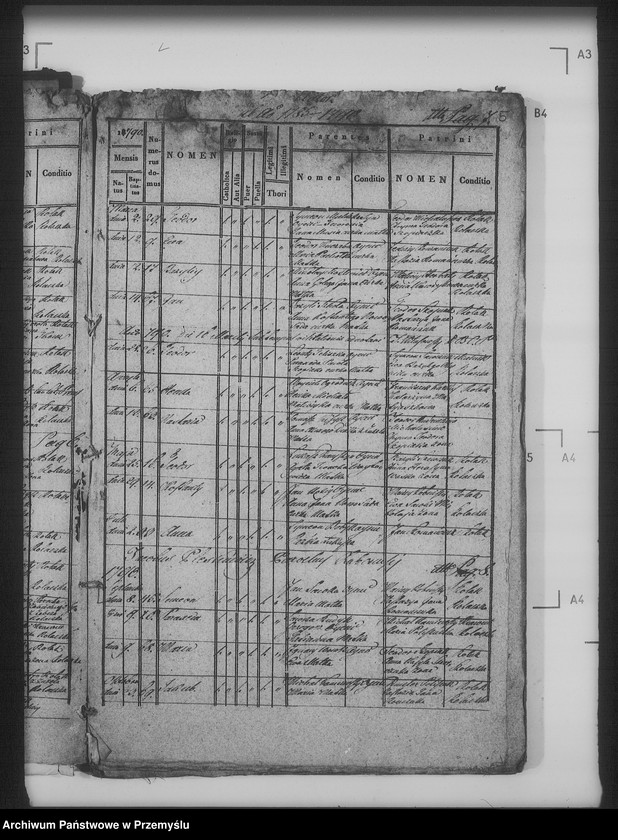 Obraz 10 z jednostki "[Kopie ksiąg metrykalnych parafii Żabcze Murowane z filią Bezejów (dekanat Bełz)]"