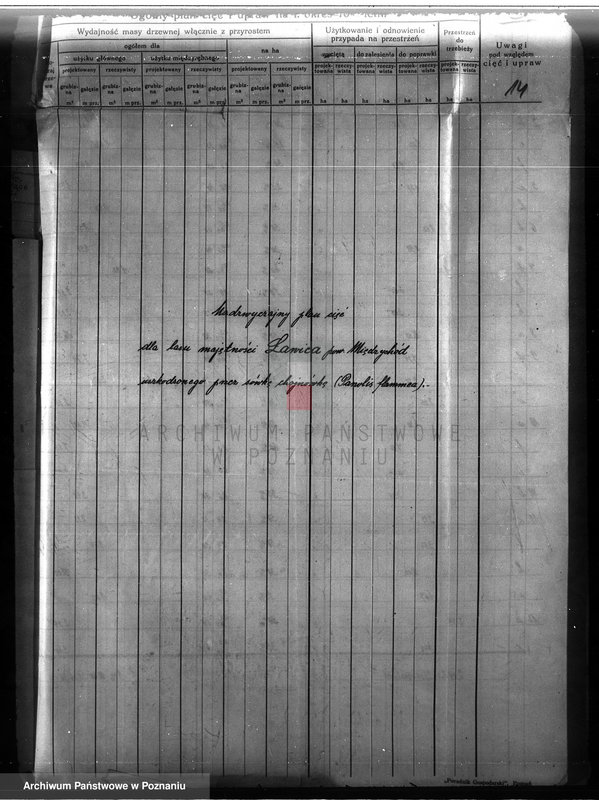 Obraz 18 z jednostki "Majętność leśna Ławica w powiecie międzychodzkim /nadzór nad gospodarką leśną/"